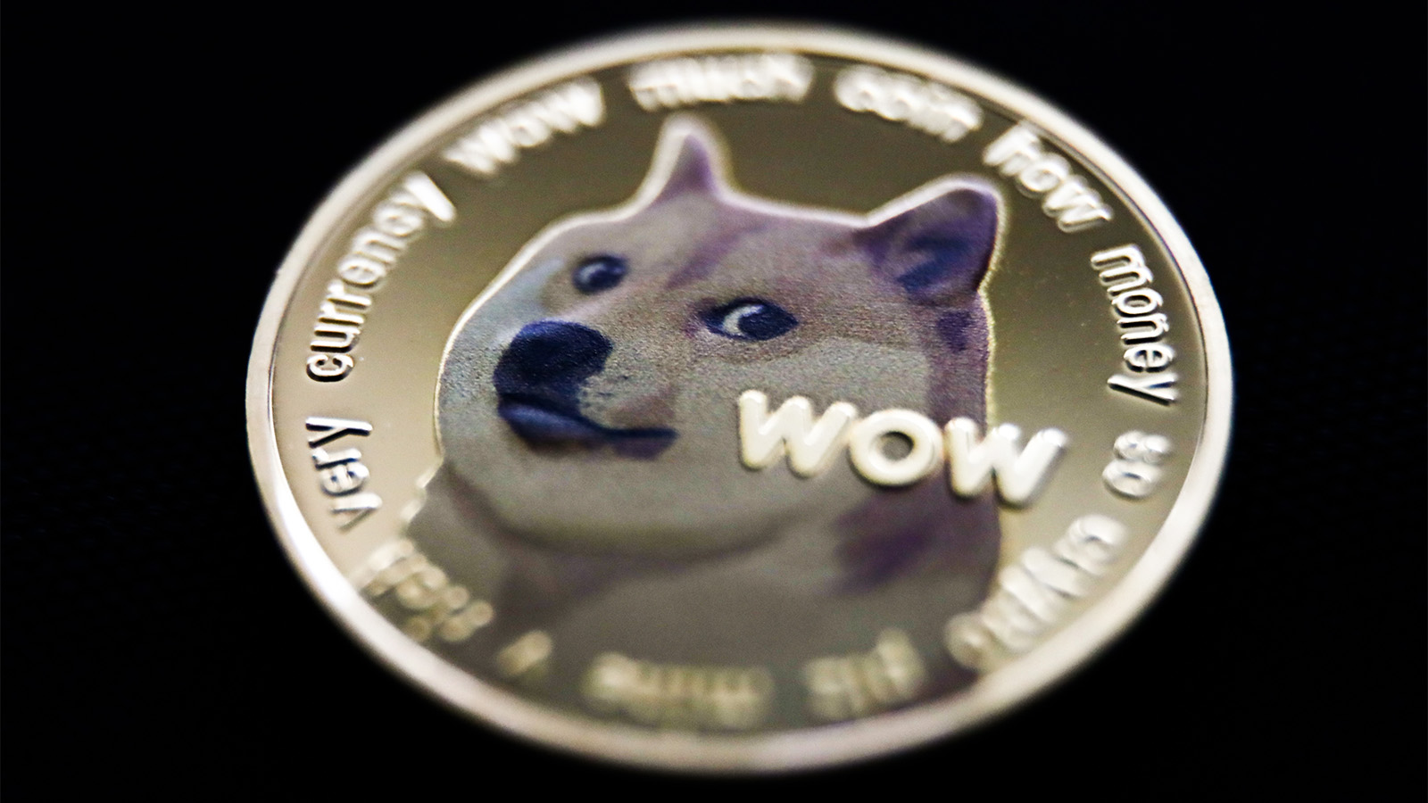     dogecoin -    