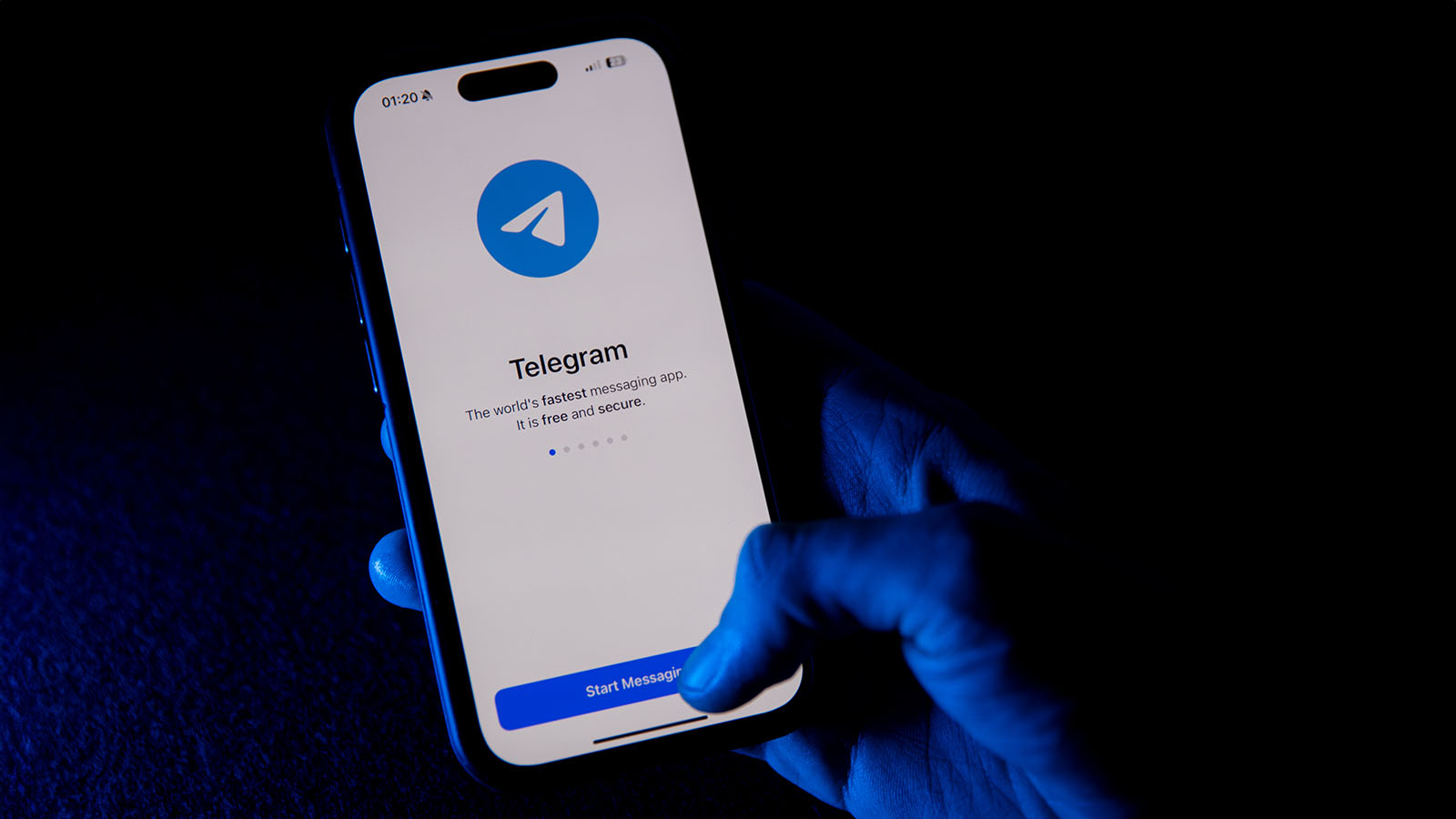    Telegram    80%  2023 