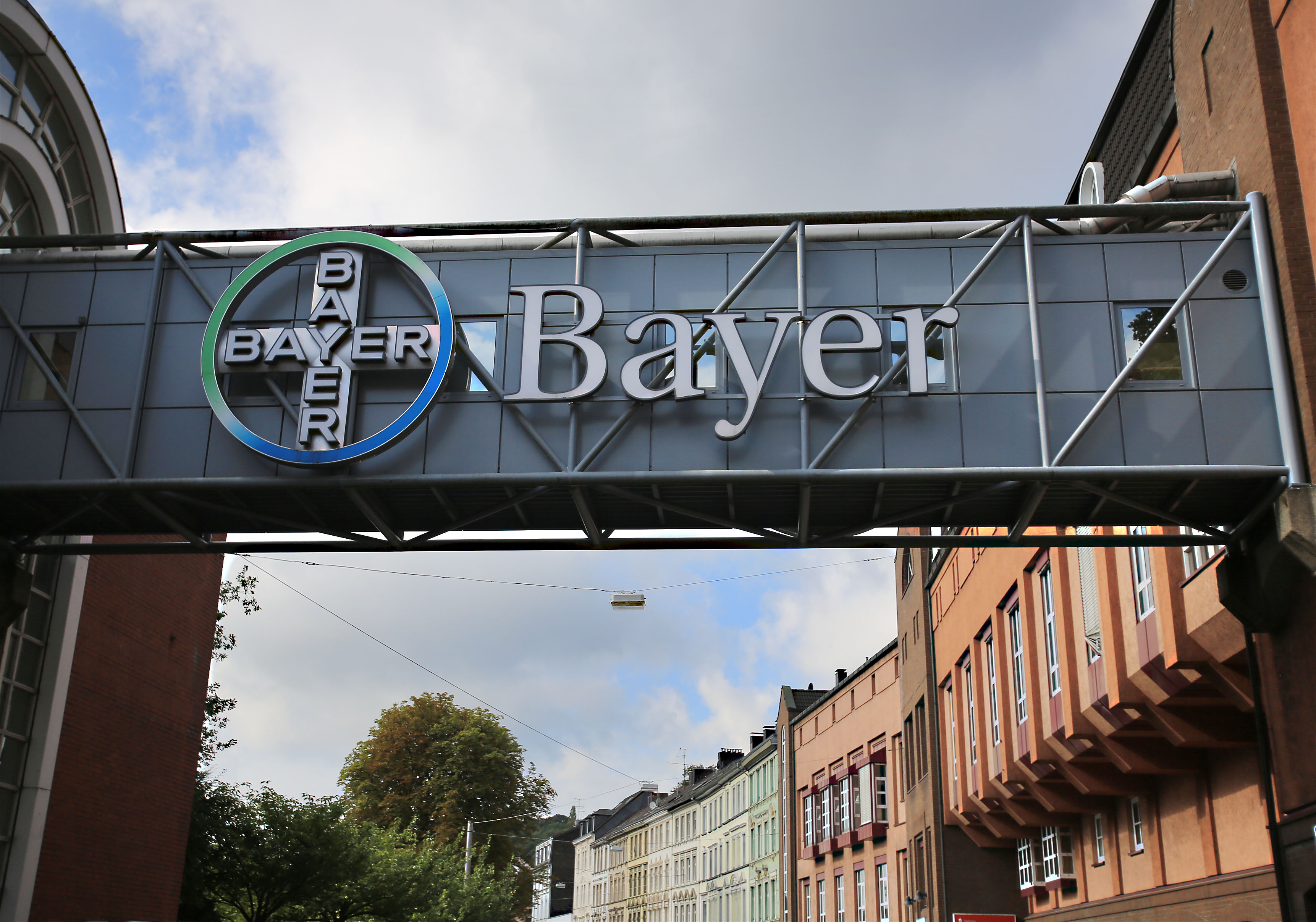  -.     Bayer   