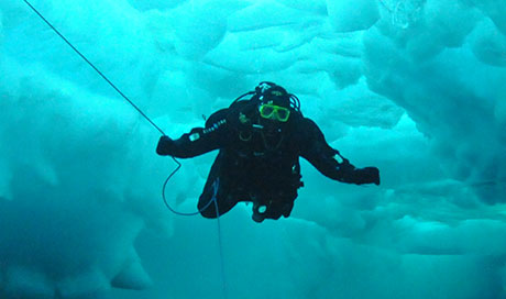 фото А.Ворошилова/ Dive.ru
