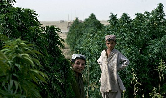 Фото East News / AFP / ImageForum