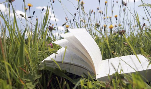 Майские чтения: 10 книжных идей для выходных
