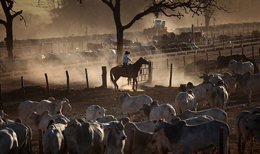 Фото Fotobank / Getty Images