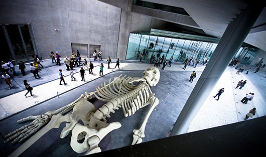 фото Corbis/FOTO SA