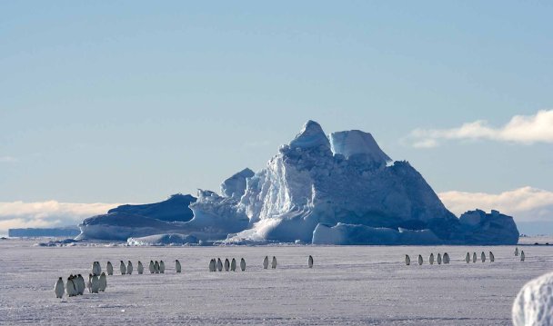Солнце белой пустыни: как добраться чартером до Антарктики