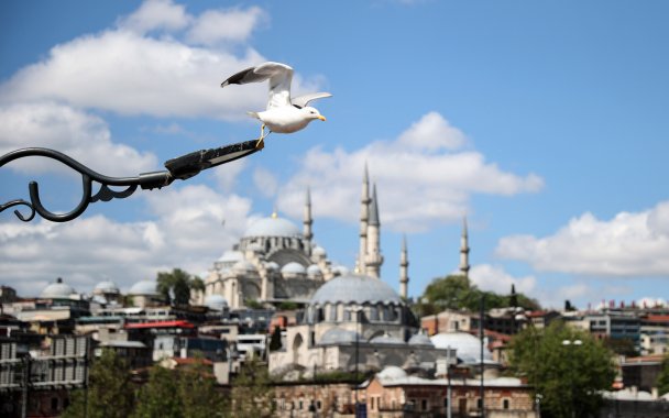 Россия возобновит авиасообщение с Турцией с 22 июня