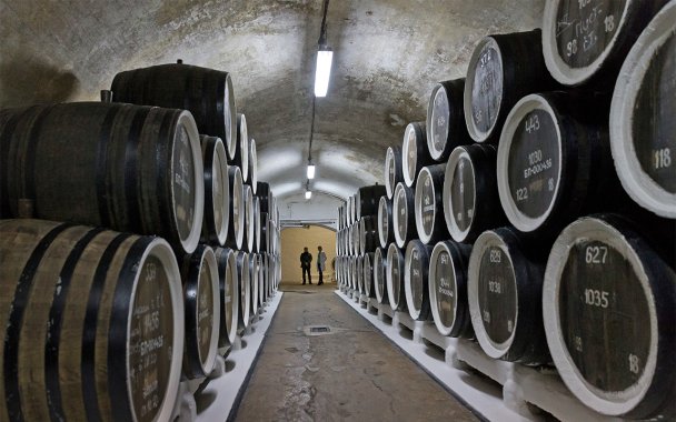 Forbes начинает подготовку первого рейтинга российских вин