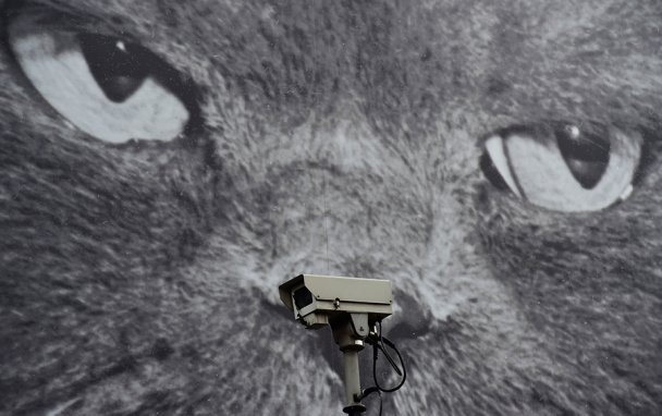 Фото REUTERS / Toby Melville