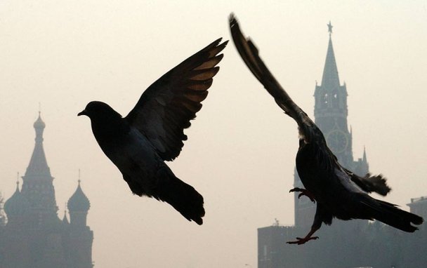 Фото REUTERS