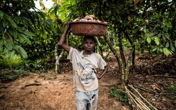Фото Benjamin Lowy / Getty Images