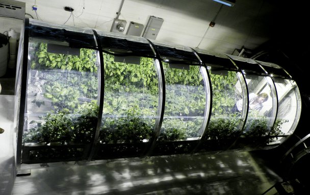 Фото Lunar / Mars Greenhouse