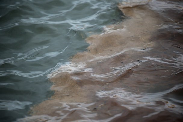 Дизельное топливо в воде на месте ликвидации последствий разлива топлива на ТЭЦ-3. Фото Кирилла Кухмаря / ТАСС