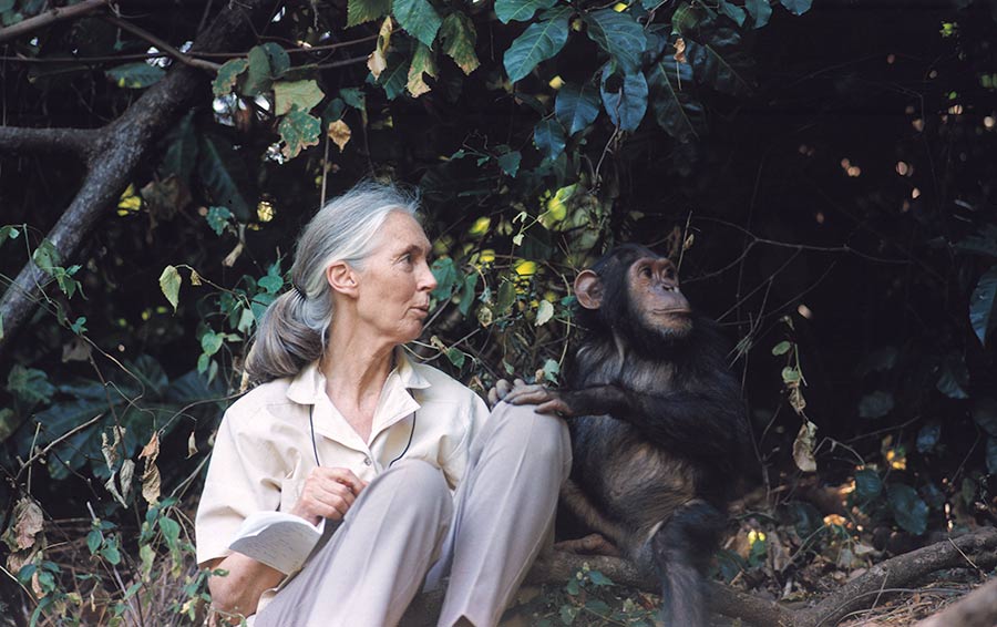 Oriq oyoqlar porno video