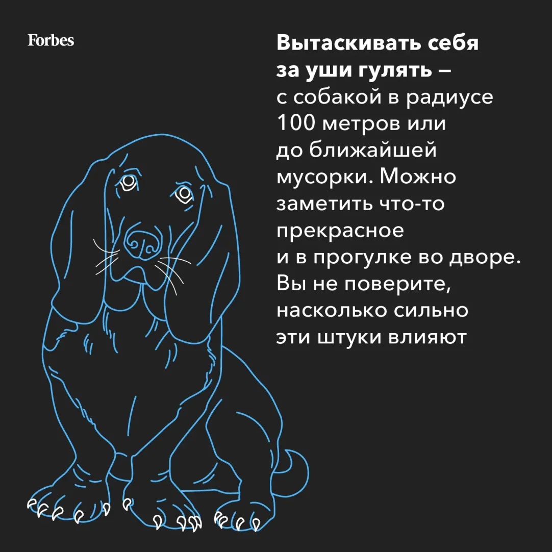 Выключить панику и не бухать: советы по выживанию в кризис от сооснователя  банка «Точка» Бориса Дьяконова | Forbes.ru