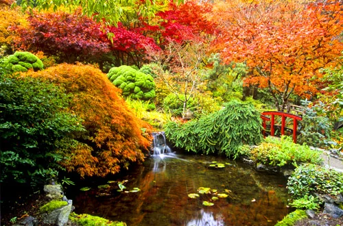 Создать японский сад - изделия для японского сада из камня - фото и видео