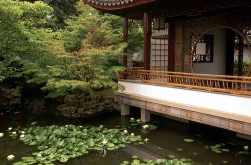 Китайский Сад Дружбы (Chinese Garden of Friendship)