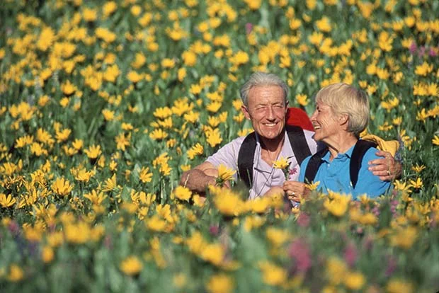 Зелёный секрет долгожителей: как сохранить молодость и здоровье
