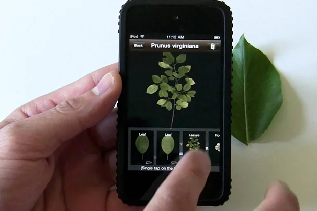 Небанальный Навык: 13 Приложений Для Нескучного Самообразования.