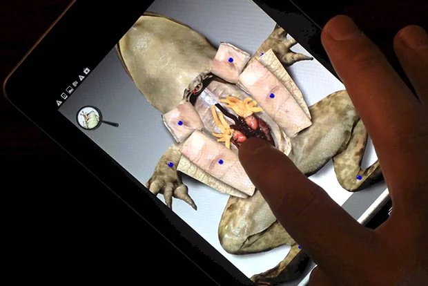 Небанальный Навык: 13 Приложений Для Нескучного Самообразования.