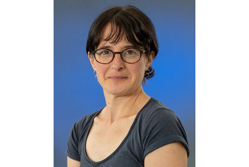 Ольга Токарчук, Владимир Сорокин И Симона Де Бовуар: Календарь.