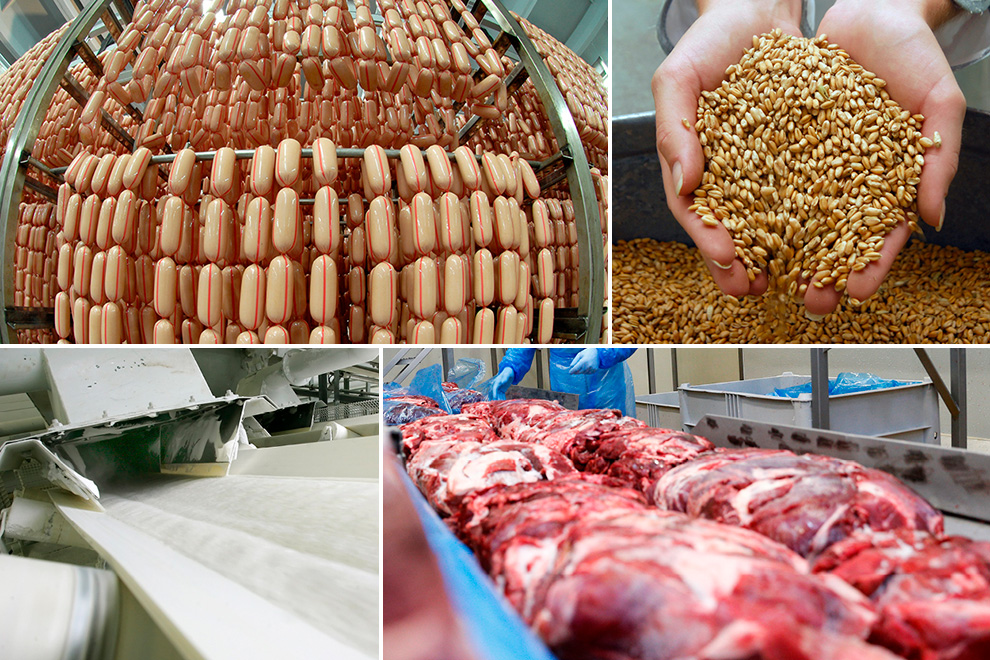 агрохолдинг"dolgovgroup". агрохолдинг групп. агрохолдинги россии. агрохолдинг красногвардейский лого.