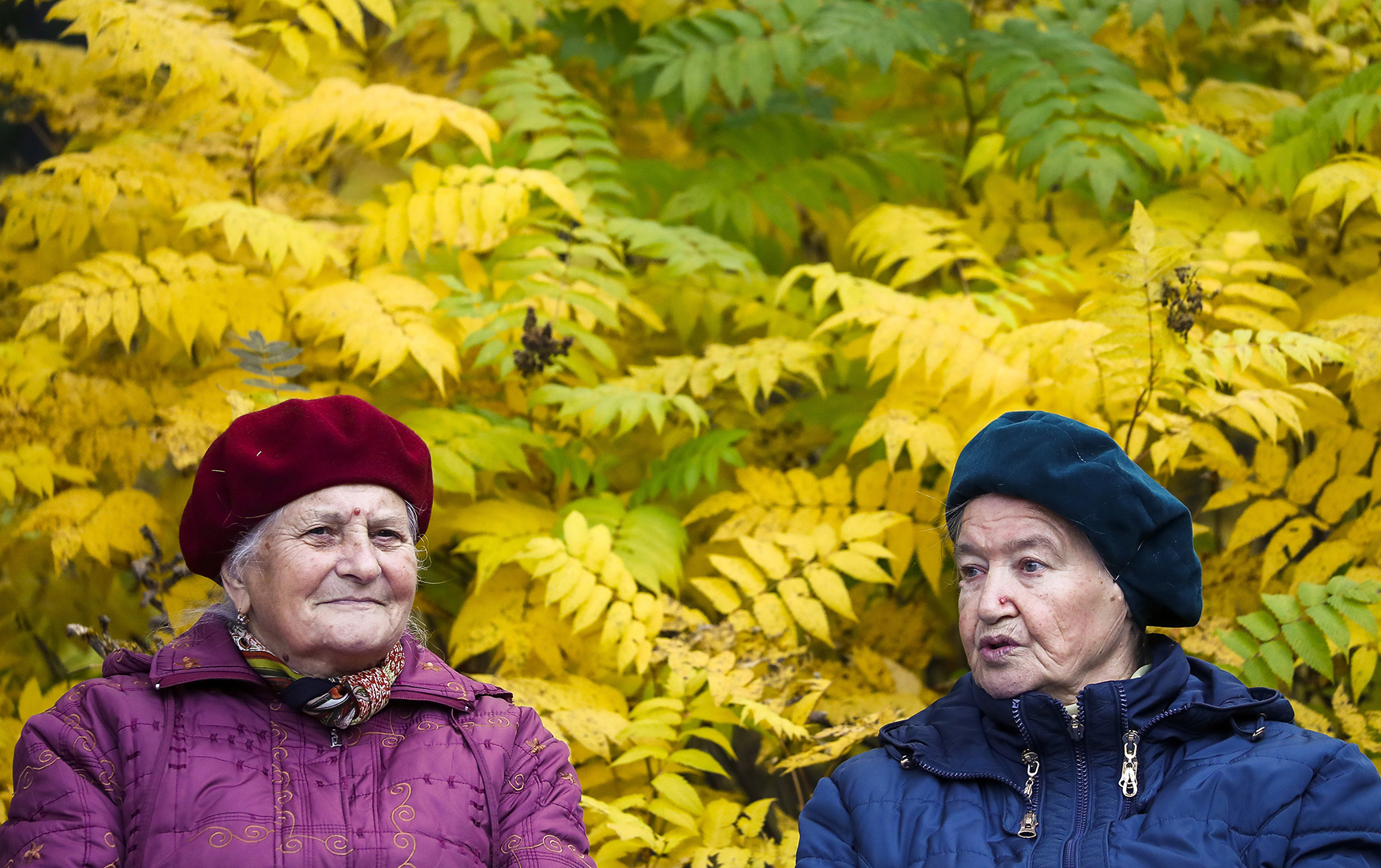 Пенсионеры осенью. Пожилые люди в России. Фото пенсионеров России. Пенсионеры на лавочке. Пожилые люди осень.