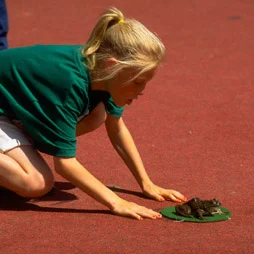 10 самых интересных состязаний с участием животных, насекомых и птиц