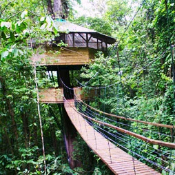 8 экопоселений, в которых можно пожить этим летом