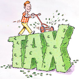 Налоговая революция