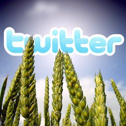 Твиты на урожай