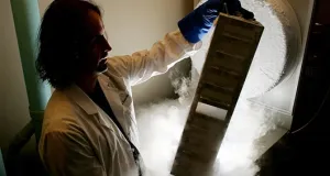 Энергия тепла и холода: зачем нужны термоэлектрики 