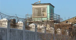 Какого президента выбрали бы российские заключенные?