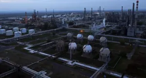 Польза риска: во что нам обходится любовь к стабильности