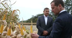 Россия и ГМО: каким будет будущее трансгенных растений