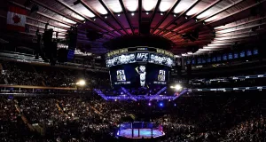 Бойня в прямом эфире: как UFC зарабатывает миллионы на телеправах