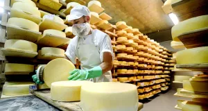 Пармезан от патриота: как сделать бизнес на санкциях