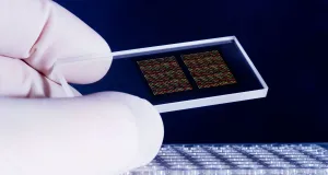 Телефон вместо паспорта: стоит ли торопиться с технологическим прогрессом
