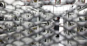 После биткоина: стоит ли ожидать заката мировой индустрии криптовалют  