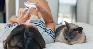 Рыночные отношения: как устроены приложения для знакомств и как мы в них себя ведем