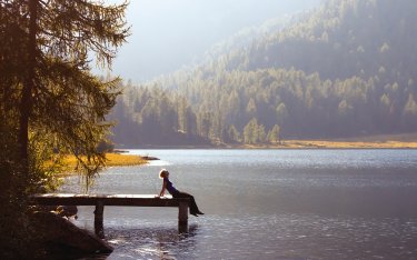 Что делать если собаку укусил клещ? - сеть ветеринарных лабораторий 