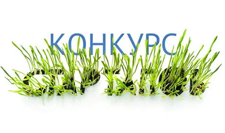 Конкурс стартапов-2012: состязание началось