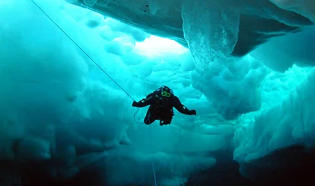 фото А. Ворошилова / Diver.ru