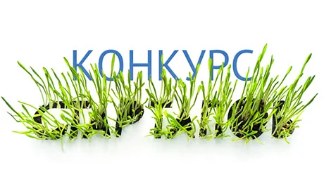 иллюстрация Олеси Волковой для Forbes