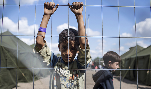 Бежать на Запад: как Европа справляется с наплывом беженцев
