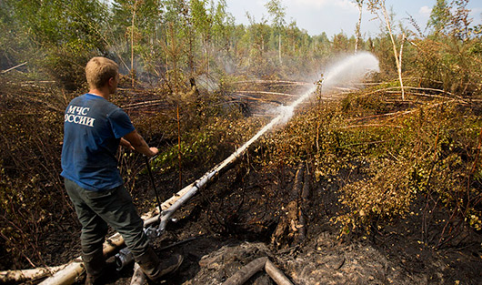 Как тушат пожары в Тверской области: фоторепортаж