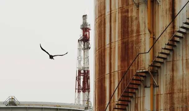 Фото REUTERS / Toru Hanai