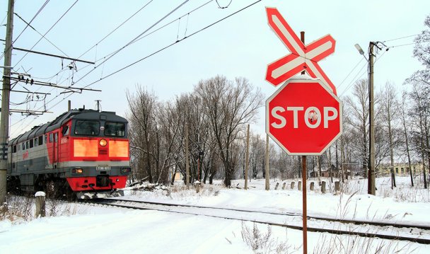 Железнодорожные операторы пожаловались Путину на ФАС