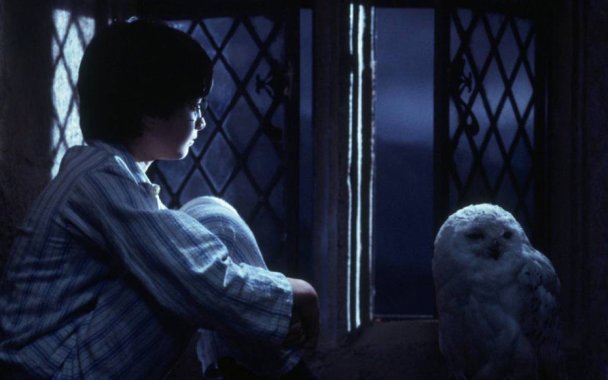 Кадр из фильма  «Гарри Поттер и философский камень» 