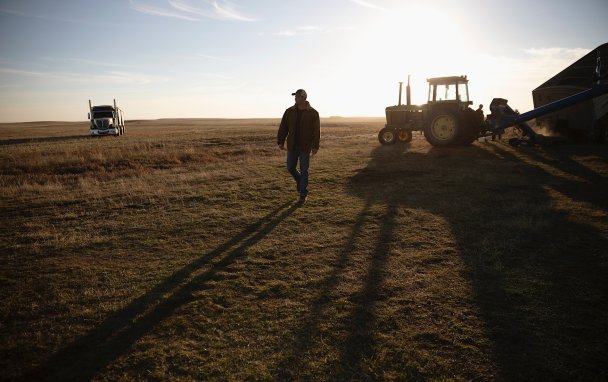 Cвиньи и тракторы вместо йоги и медитации: как фермерство превратилось в любимое хобби финансистов 