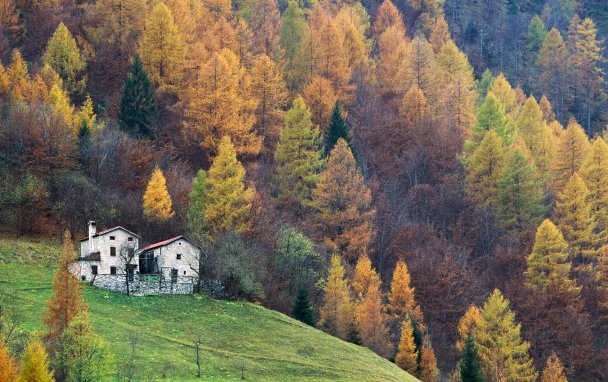 Дома по осени считают: 11 домов, где наблюдать листопад